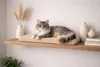 Katzenbett Fensterbank 60x20x4 cm weich rutschfest Produktbild-Vorschau 2