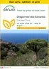 SAFLAX Ensemble de culture - Dragonnier des Canaries - 5 Voir les images du produit 1