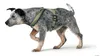 HUNTER Geschirr London Comfort Olive M-L Produktbild-Vorschau 14