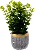 Künstliche Blume im Topf 22cm - Deko Pflanze wie echt - Produktbild-Vorschau 1