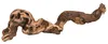 Weinrebe, wassergestrahlt 30–40 cm Produktbild-Vorschau 2