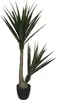 Künstliche Yucca im Topf, H. 130 cm Produktbild-Vorschau 1