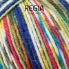 Schachenmayr REGIA 4-fädig Color, 100g Tropical Produktbild-Vorschau 2