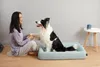 Petkit Four Season Memory Foam Bed 67 × 51 × 12,5 cm Anteprima dell’immagine prodotto 1