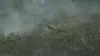 A dense, misty jungle environment with large vines and trees. Produktbild-Vorschau