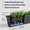 Balkonkasten mit Wasserstandsanzeiger, Pflanzkasten 2er Set Produktbild-Vorschau 3