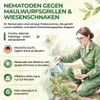 Power SC-Nematoden gegen Maulwurfsgrillen Wiesenschnaken & Produktbild-Vorschau 5