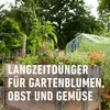 Garten Langzeit-Dünger (2 kg) | Dünger von COMPO Produktbild-Vorschau 5