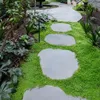 Stauden Gänge 100 x Isotoma fluviatilis 'White' - Weißer Produktbild-Vorschau 5