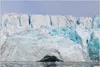 Wallario Wandbild Gletscher im arktischen Meer, Größe: 61 x Produktbild-Vorschau 1
