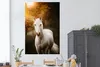 MuchoWow® Poster Pferd - Licht - Sonne 120x180 cm - Produktbild-Vorschau 2