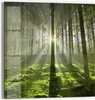 DEQORI Magnettafel Glas 30x30 cm 'Waldlichtspiele' Produktbild-Vorschau 1