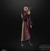 A Star Wars action figure of Padmé Amidala is shown against a black background. Náhled obrázku produktu