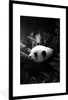 MuchoWow® Gerahmtes Poster Panda mit Schmetterlingen im Produktbild-Vorschau 1