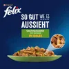 FELIX So gut wie es aussieht Geschmacksvielfalt, 96er Pack Produktbild-Vorschau 9