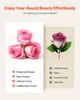 VEVOR, 50 rose "eterna" in confezione circolare, Anteprima dell’immagine prodotto 4