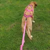 Dingo Hundegeschirre Sled Große L Farbe Rosa Zuggeschirr Produktbild-Vorschau 14