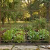 Recinzione da giardino bietola Anteprima dell’immagine prodotto 6