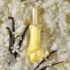 Giorgio Beverly Hills Coffret Parfum 90ml + Lait pour Le Produktbild-Vorschau 4