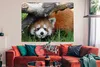 MuchoWow® Poster Roter Panda - Stamm - Gras 160x120 cm - Produktbild-Vorschau 2