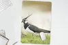 MuchoWow® Mauspad Mousepad Vogel - Gras - Tiere - Natur - Produktbild-Vorschau 5