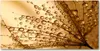 Tulup® Glas-Bild - 100x50 -Wandkunst - Wandbild hinter Produktbild-Vorschau 1