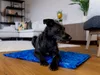 TrendPet Arctic Komfort, tappetino rinfrescante per cani, Anteprima dell’immagine prodotto 5