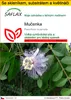 SAFLAX Kultivační sada - mučenka - Passiflora incarnata - 5 Náhled obrázku produktu 1