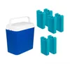 Kühlbox 24 Liter blau/weiß inkl. 6 Kühlakkus  Bis zu 14 Produktbild-Vorschau 9