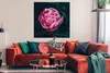 MuchoWow® Poster Blumen - Rosa - Rosen 100x100 cm - Produktbild-Vorschau 2