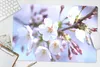 MuchoWow® Schreibtischunterlage Blumen - Sakura - Zweig Produktbild-Vorschau 5