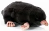 Hansa Toy 3072 Talpa 23 cm peluche peluche peluche peluche Anteprima dell’immagine prodotto 8