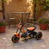 AIYAPLAY trojkolka, detský bicykel, balančný bicykel, Náhľad obrázku produktu 9