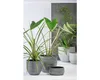 Blumentopf Passion for Pottery Le Havre Keramik Ø 29 cm H Produktbild-Vorschau 2