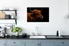 MuchoWow® Poster Schottischer Highlander - Zunge - Nase Produktbild-Vorschau 3