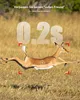 4 pièces 4G LTE caméra sauvage avec app & détecteur de Voir les images du produit 8