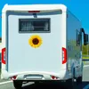 younikat Aufkleber Sonnenblume | 30 cm | selbstklebende Produktbild-Vorschau 5
