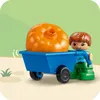 LEGO® DUPLO® 10993 Domček na strome 3 v 1 Náhľad obrázku produktu 31