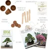 Kit di partenza per bonsai con eBook  - set di vasi di Anteprima dell’immagine prodotto 2