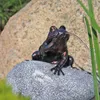 CLGarden Wasserspeier Komplettset Frosch auf einem Stein Produktbild-Vorschau 5