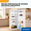 Exquisit Retro Vollraumkühlschrank 225 l | Energieklasse C Produktbild-Vorschau 4
