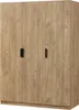 Kleiderschrank ’Eiselfing’ 176 x 120 x 52 cm mit 3 Türen, 1 Produktbild-Vorschau 3