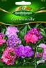 Gartennelken, Picotee Mischung Produktbild-Vorschau 1