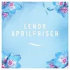Febreze 8006540728437, textielverfrisser spray, Lenor Productafbeelding-voorbeeld 6