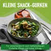 Mexikanische Minigurke  Samen - Melothria scabra - Produktbild-Vorschau 6