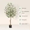 Künstlicher Olivenbaum 180 cm – Täuschend echte Produktbild-Vorschau 6
