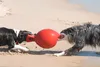 Jolly Pets Tug-n-Toss Hundespielzeug, 15 cm, hellblau Produktbild-Vorschau 2