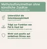 AniForte MSM Pulver für Hunde & Katzen 300 g – Hochreines Produktbild-Vorschau 3
