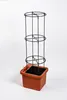 Plastia Berberis Spalier Pflanzenstütze 132,5 cm hoch x 38 Produktbild-Vorschau 3