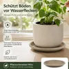 Pflanztopfuntersetzer Mira Taupe Ø 49cm - Frostsicher & Produktbild-Vorschau 5